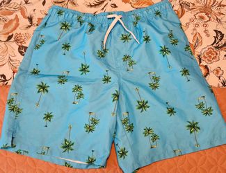 Old Navy Palm Tree Swim Trunks