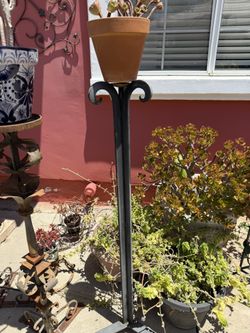 Tall Iron Plant Stand And Terracotta Pot Plant