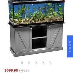 Fish Tank