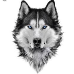 Iphone 7 plus lcd//screen $65.00