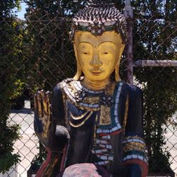 Abhaya Mudra Buddha 