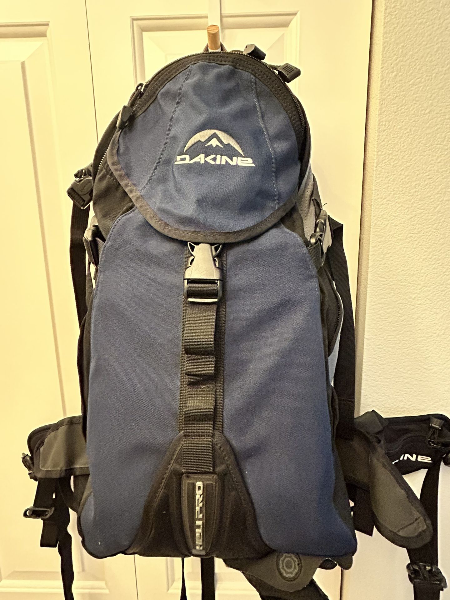 Dakine Heli Pro Backpack