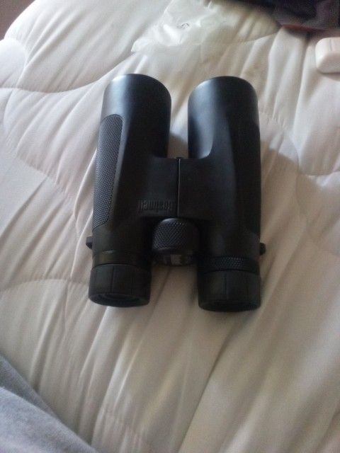 Bushnell 12x50 Binoculars