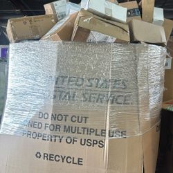 TikTok Pallets 250-350 Items 