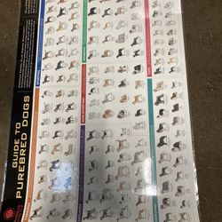 Official AKC Dog Poster