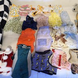 Dog Clothes