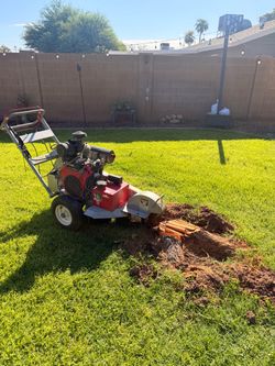 Stump Grinder & Remov