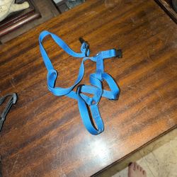 Medium Dog Leash 