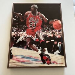 Michael Jordan Picture