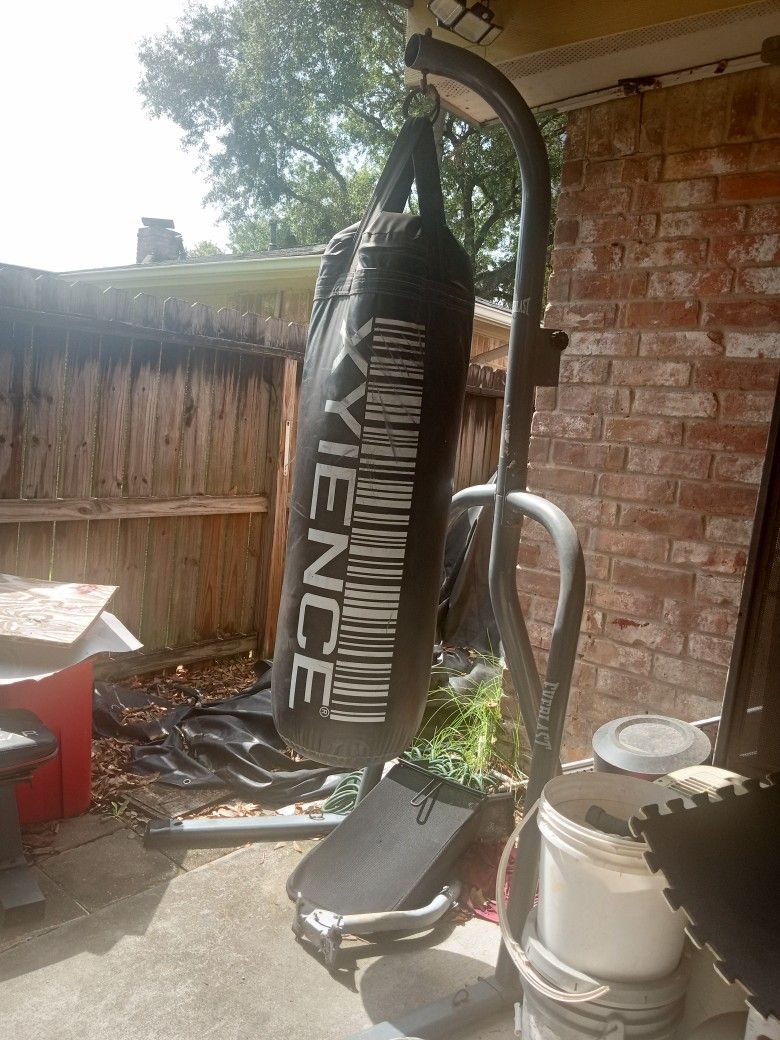 Xyience Punching Bag With Stands