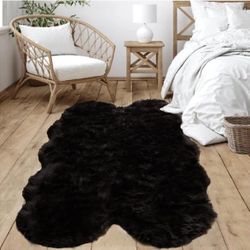 Black 4x6 Fur Rug $50