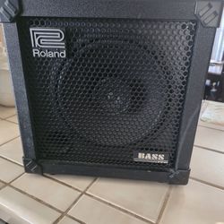 Roland 30w Bass Cube Amp.