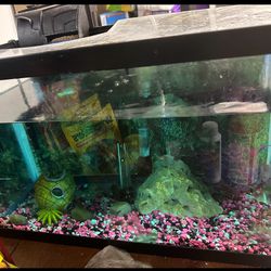 3 Tanks Fish For $100
