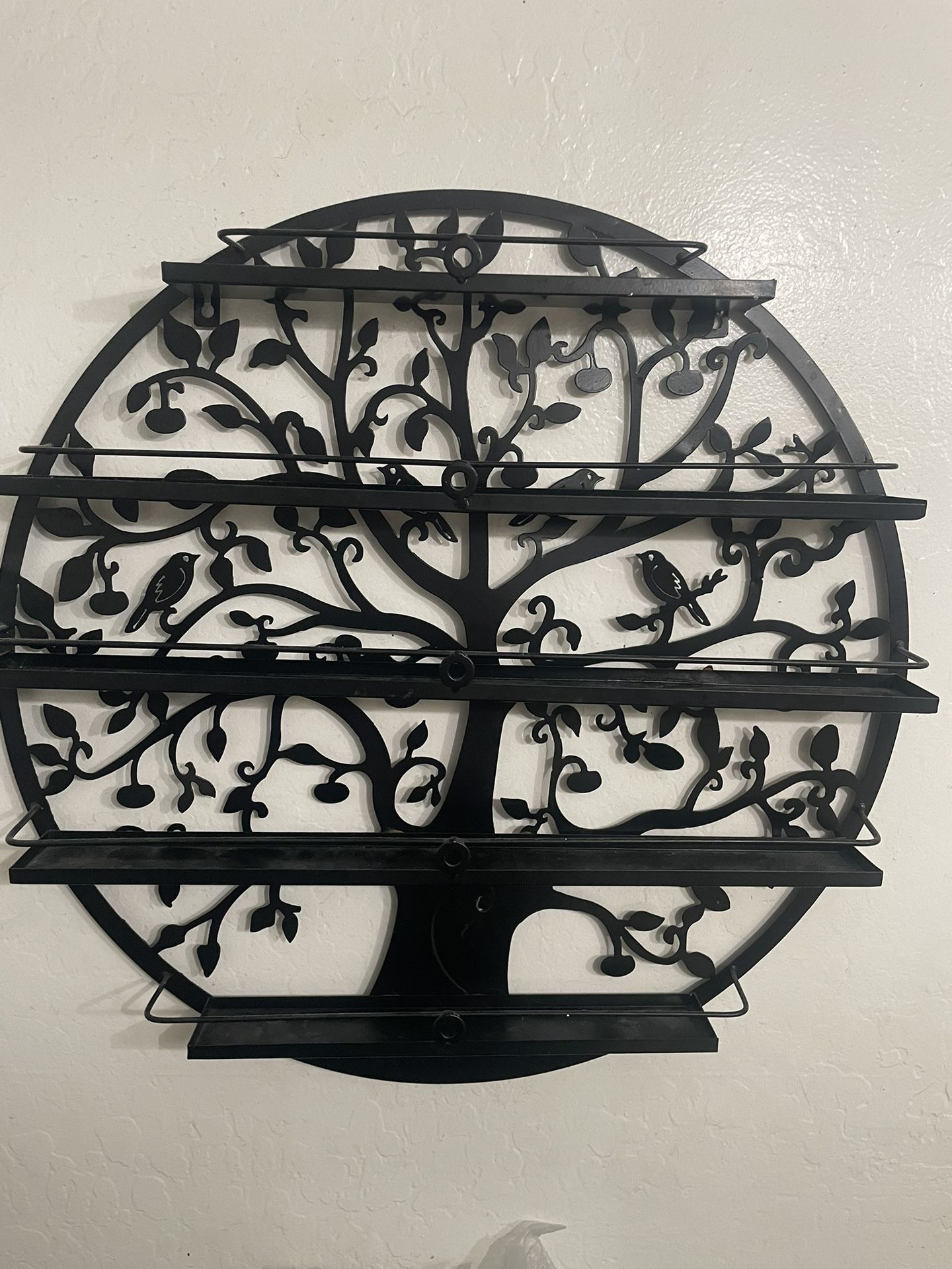 Shelf/organizer