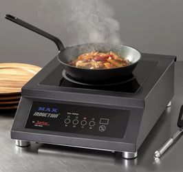 MAX Induction by Spring Electric Range 3500 Watts