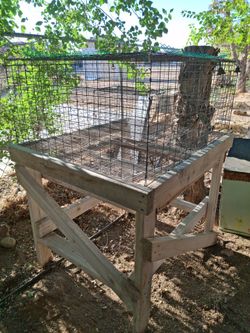 30x36 cage 48in height from wood stand to top of cage cage can lift off of wood base front opening on cage