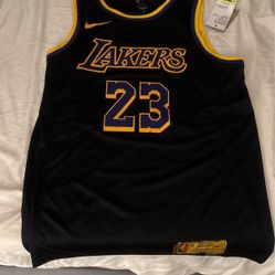 Nike Lakers Lebron James jersey 