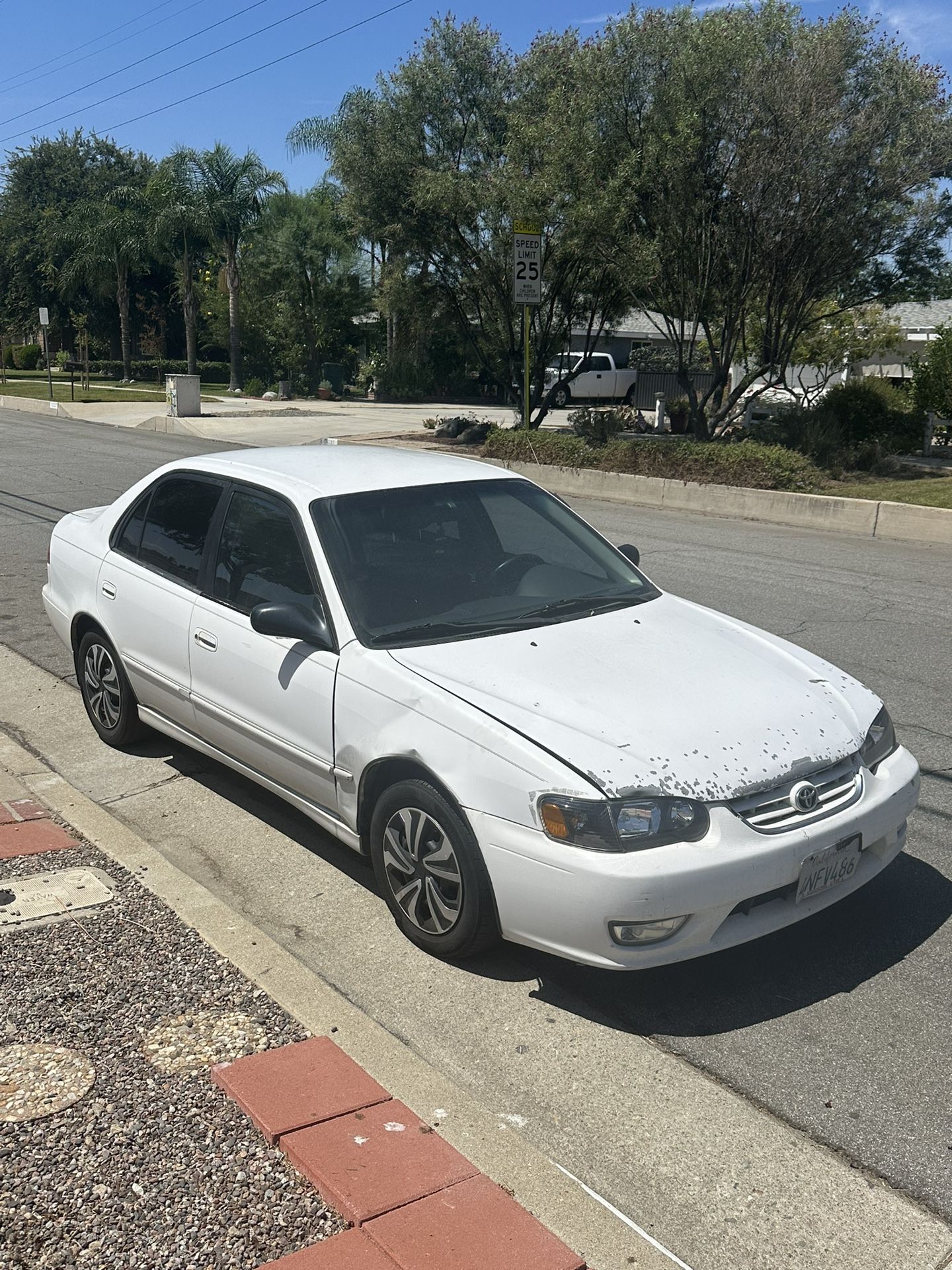 Toyota Corrals 