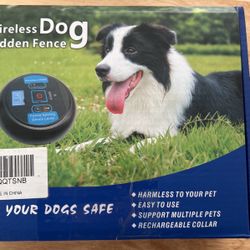 Wireless Dog Hidden Fence 