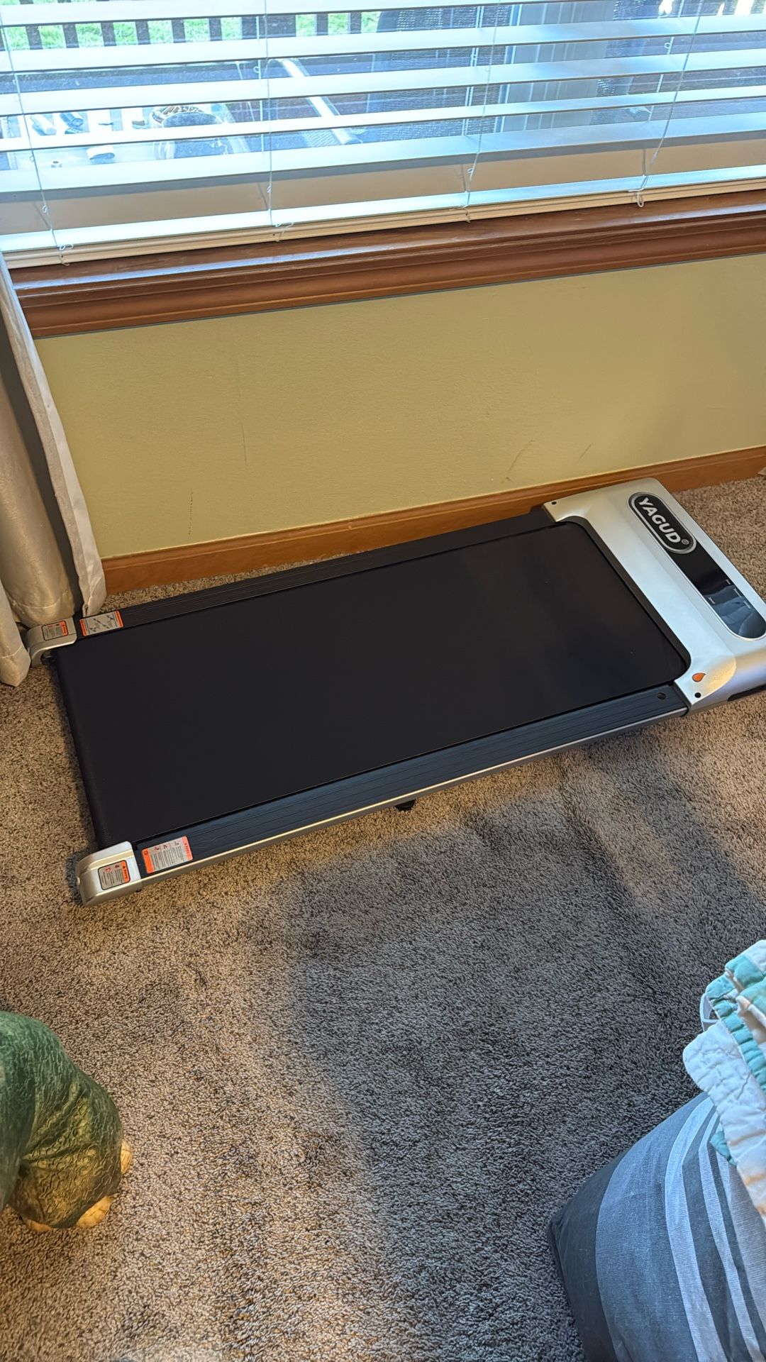 Walking Pad With Remote