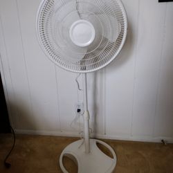 Fan 