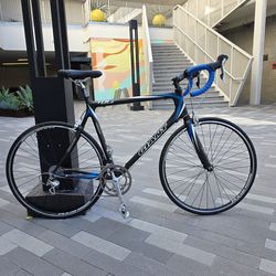 19 lb. All-Carbon Giant TCR Composite 0 Racing Bike - 60cm