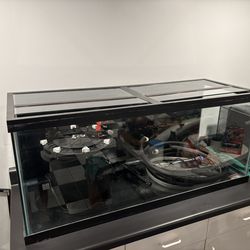 75g Aquarium/Fish Tank With Filter