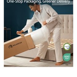 Rolanstar Queen 6 Inch Mattress