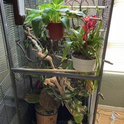 Large Bird/Reptile Cage