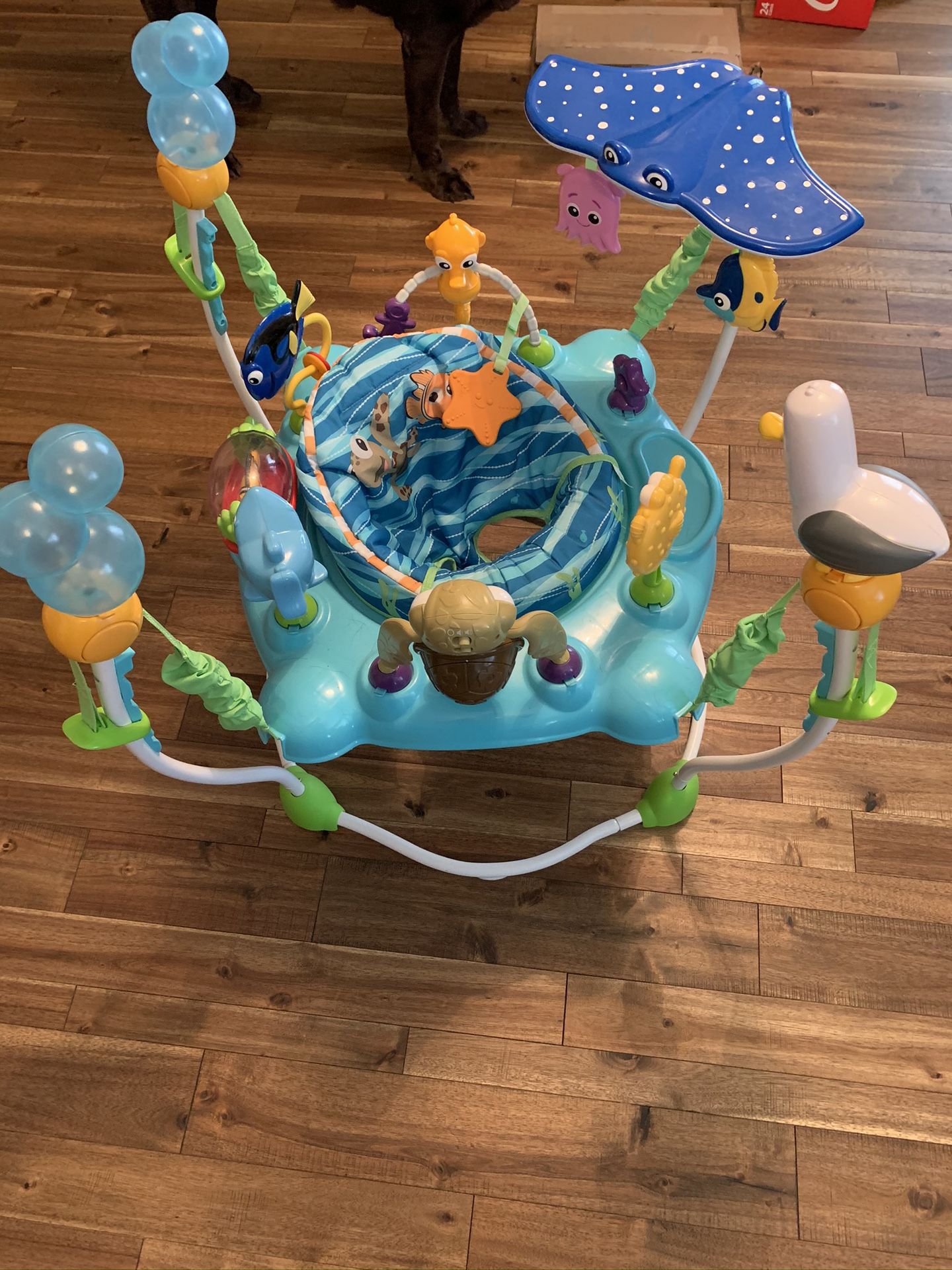 Baby Bouncer Finding Nemo