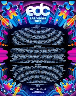 SELLING 1 GA TICKET EDCLV