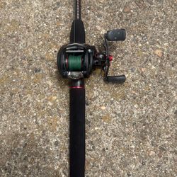Fishing Pole And Reel
