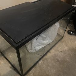 Fish Tank
