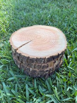 Discounted wood center pieces Due to crack or missing some bark (7-8 inches wide)