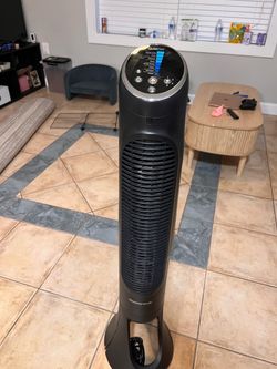 Fan
