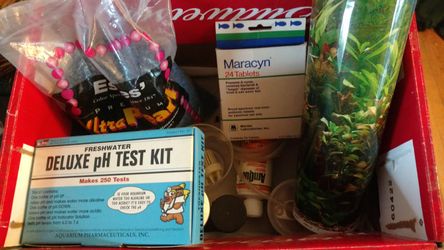 Lot of aquarium supplies...