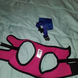 Dog harness and muzzle 