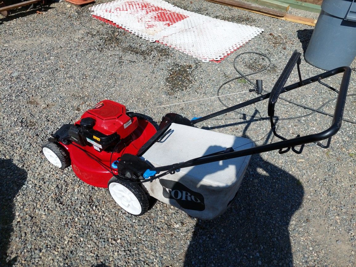 Candela E Filtro Aria Per Tosaerba Toro 20353 &ndash; Motore B&amp;S 7,25HP 163cc, Zipa_q