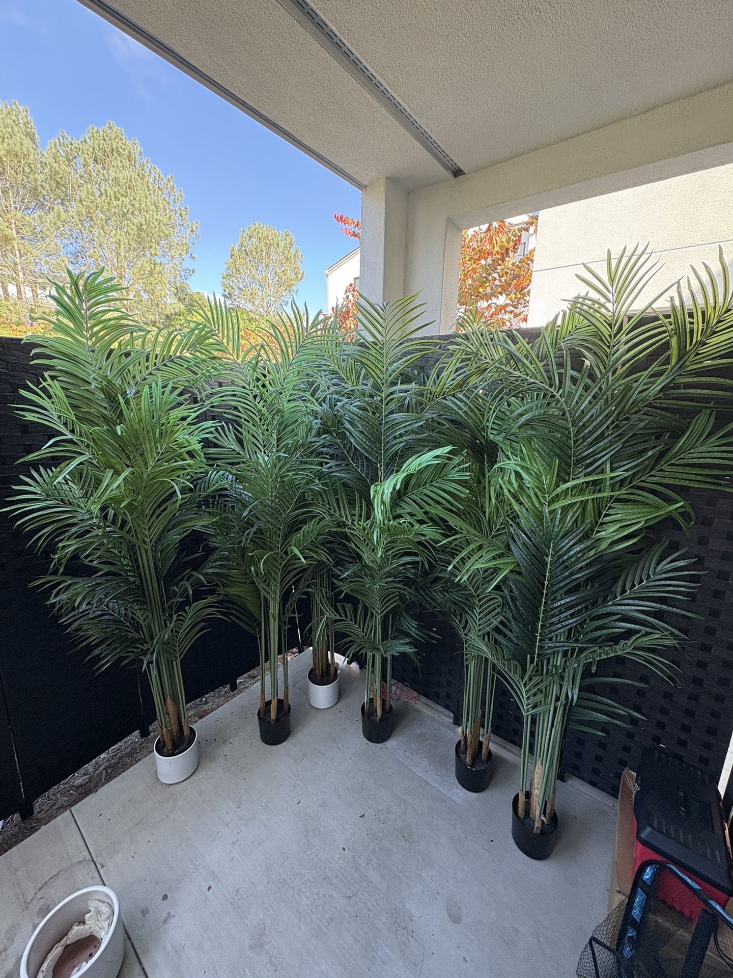 Six 6ft Fake Palms