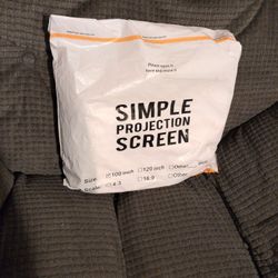 100-In Projection Screen