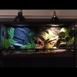 36x18x18 Thrive Front Opening Savannah Monitor Enclosure/ Terrarium