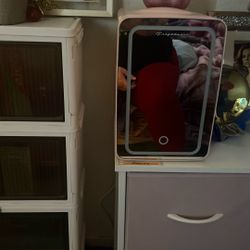 Makeup Fridge With Light