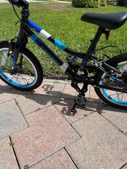 Guardian 16 Inch Bike