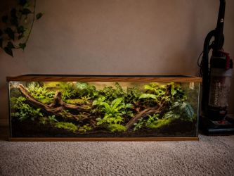 Terrarium , palindarium, reptile enclosure tank.