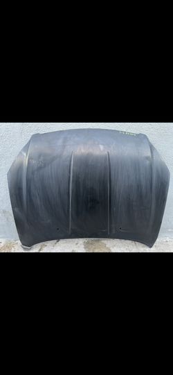 Nissan Altima Hood 2005-2006 