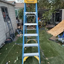 6-foot Werner ladder