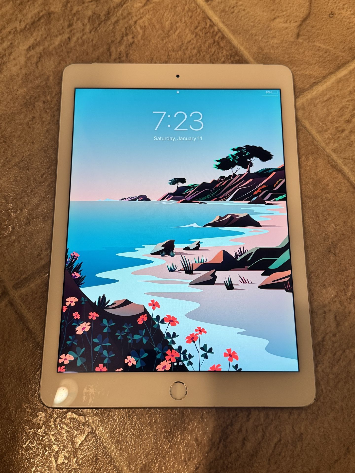 iPad Air 2