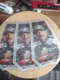 Dale Earnhardt And Jr Glass Lamp Shades