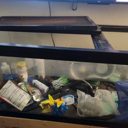 80 Gal Aquarium With Total Accessories