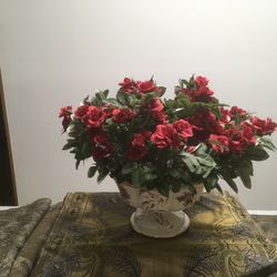 Mother’s Day Gift Floral Arrangement In Vintage Compote Also Other Arrangement For Sale